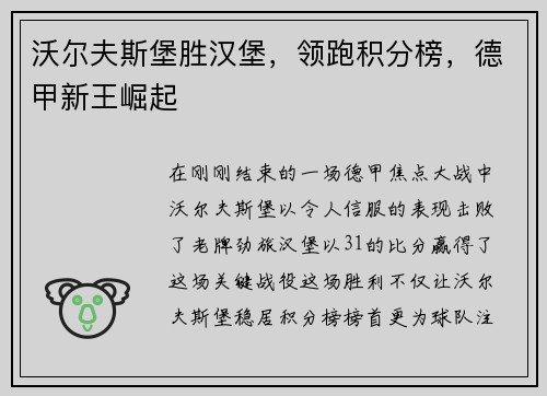 沃尔夫斯堡胜汉堡，领跑积分榜，德甲新王崛起