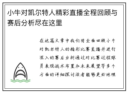小牛对凯尔特人精彩直播全程回顾与赛后分析尽在这里