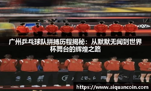 三亿体育官网入口