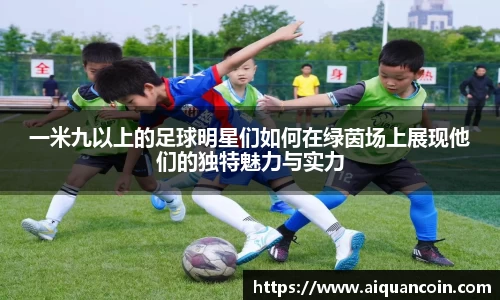 一米九以上的足球明星们如何在绿茵场上展现他们的独特魅力与实力