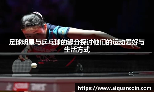 三亿体育官网入口